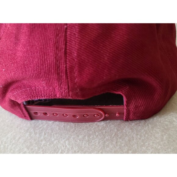 The Man Who Captured Sunshine Baseball Hat Wine OS Unisex Casual Hipster NWOT - Picture 4 of 7